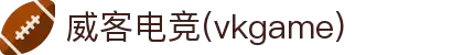 威客电竞·(中国)VK GAMING | VK eSports